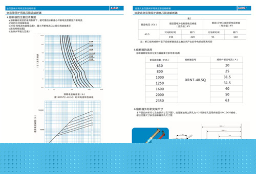 寶雞電動(dòng)機(jī)上用高壓限流熔斷器